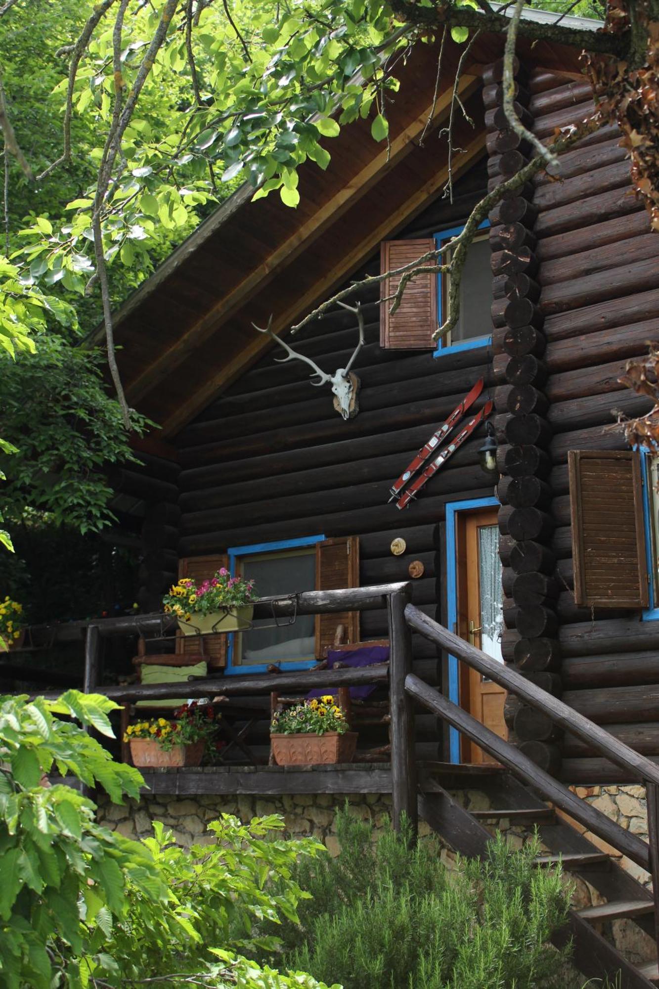 B&B Le Corone - Chalet Nel Bosco Cavalo Екстер'єр фото
