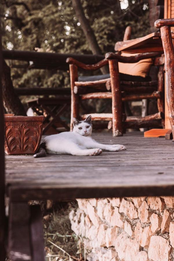 B&B Le Corone - Chalet Nel Bosco Cavalo Екстер'єр фото