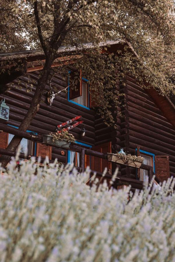 B&B Le Corone - Chalet Nel Bosco Cavalo Екстер'єр фото